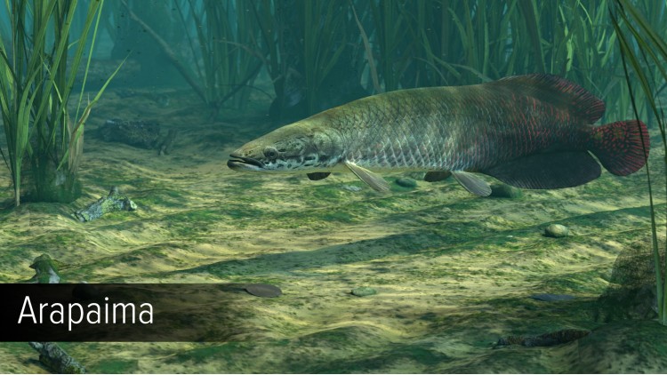 Ultimate Fishing Simulator - Amazon River DLC